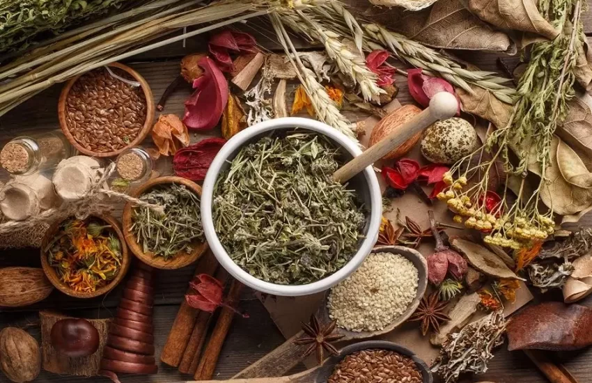 Top 10 Natural Herbs in The World
