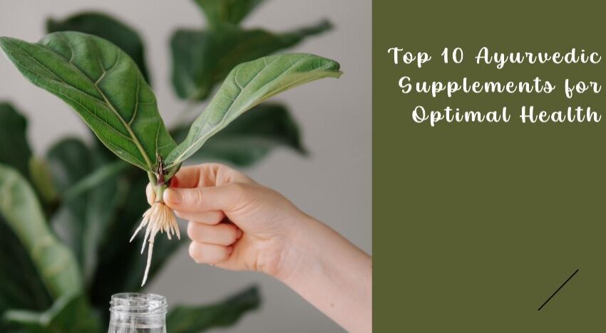 Top 10 Ayurvedic Supplements for Health