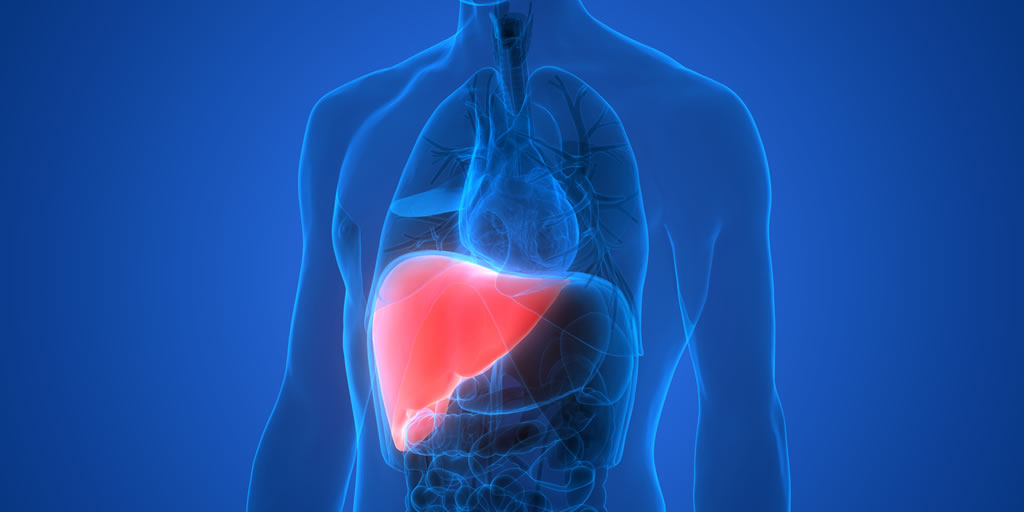 Liver Cancer