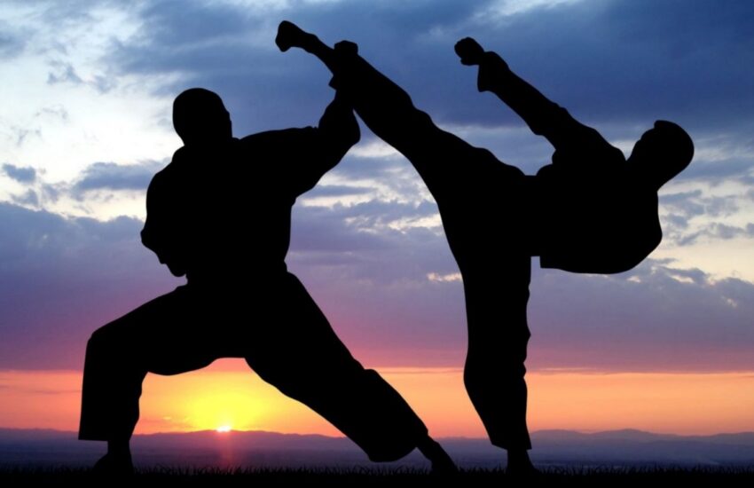 Full Body Martial Arts Training