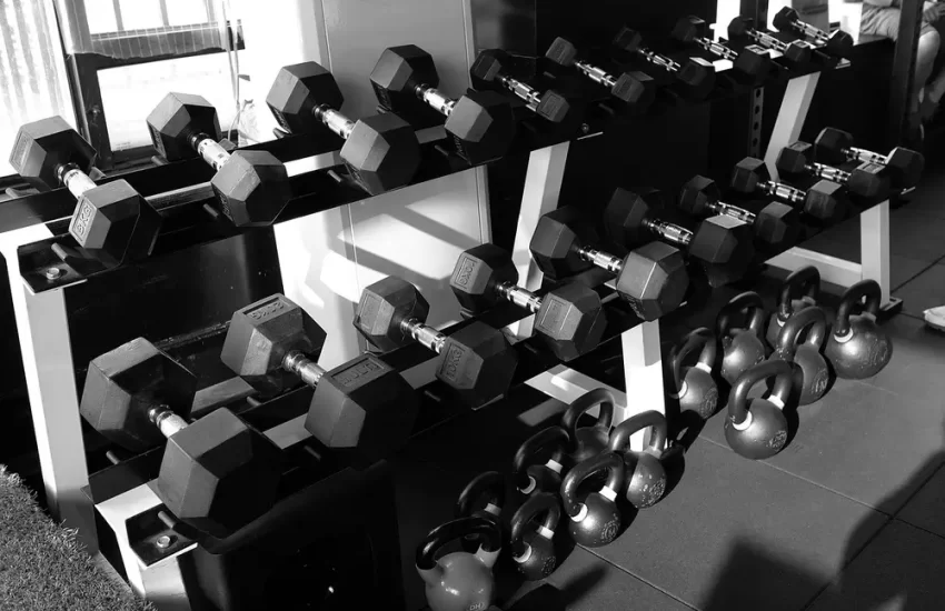 Best Adjustable Dumbbells for Beginners