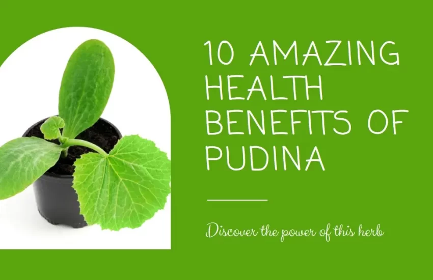 Amazing Health Benefits of Pudina