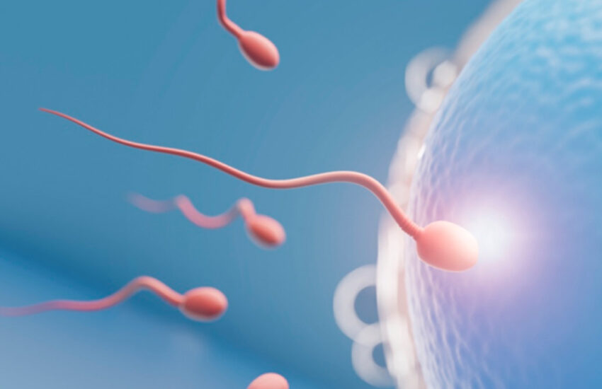 Sperm Volume Boost